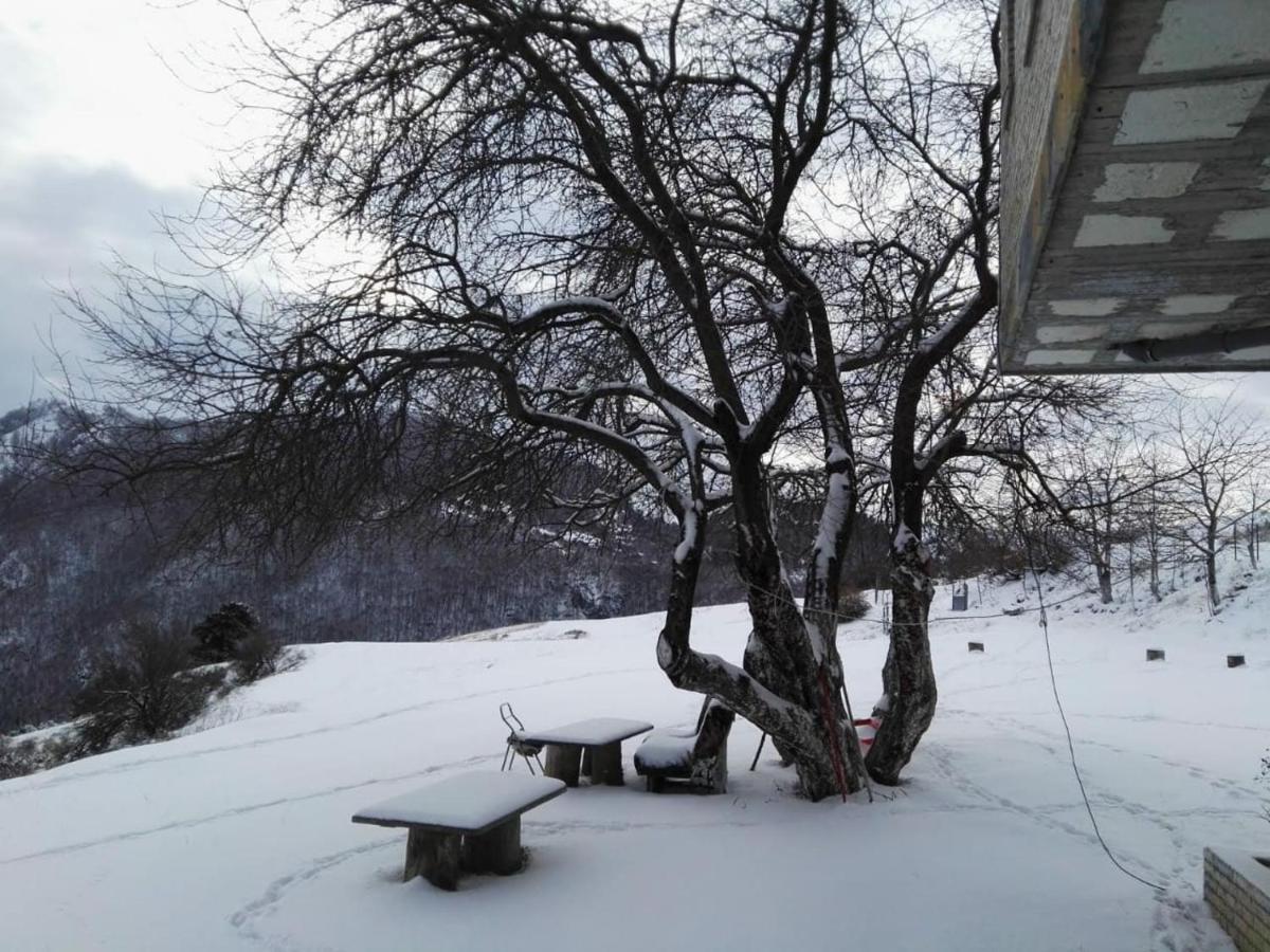 Hotel Bujtina E Tomorrit Ujanik Exteriér fotografie