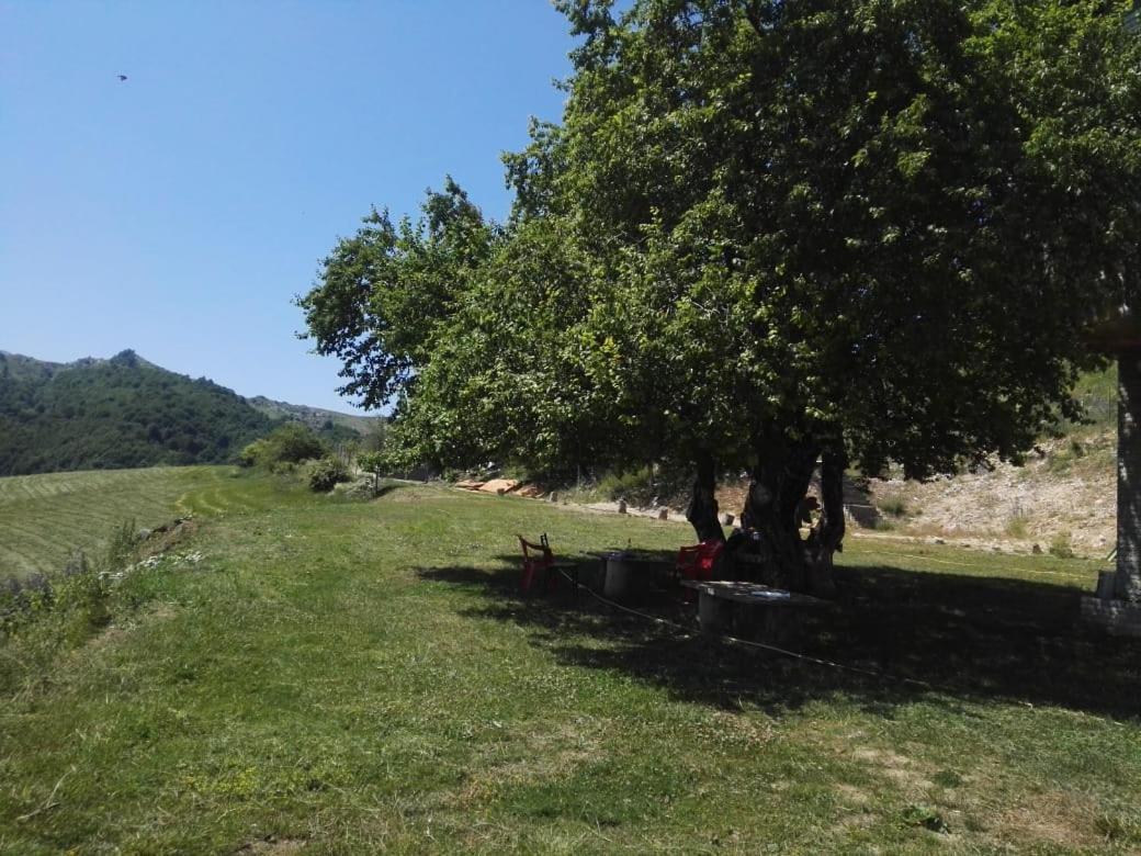 Hotel Bujtina E Tomorrit Ujanik Exteriér fotografie