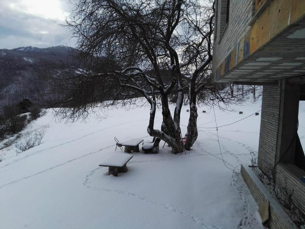 Hotel Bujtina E Tomorrit Ujanik Exteriér fotografie